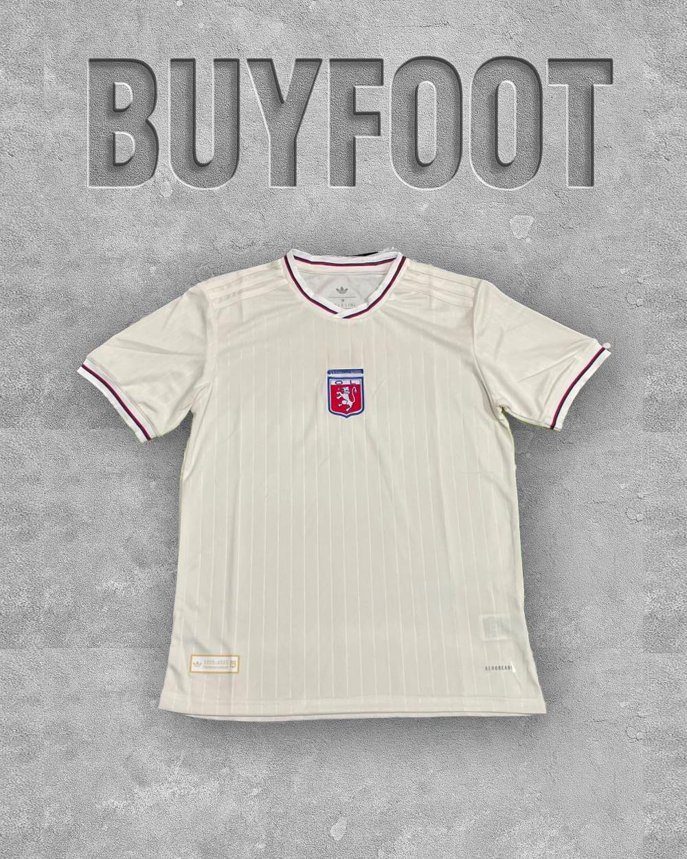 🎉 Maillot Anniversaire Olympique Lyonnais 75 ans – Saison 2024‑25