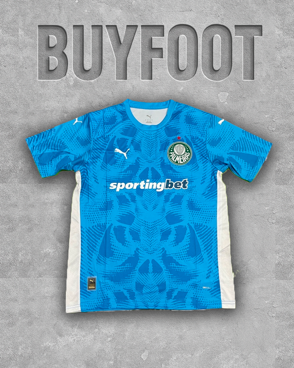 Palmeiras Maillot Gardien 2025/2026